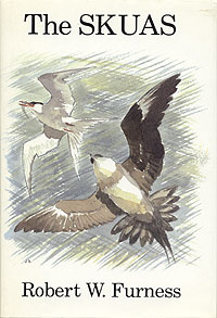 The Skuas