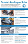 Poster (Engels)