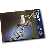 Set 'Vogels van Nederland (1)' (ANK-C30)